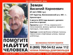 Разыскивается мужчина Земан Василий Корнеевич (67 лет), о котором со 2 августа 2018 года информации нет.